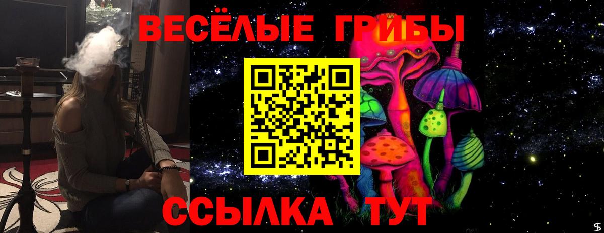 Псилоцибиновые грибы мицелий  Вход с VPN  цены наркотик  Златоуст 